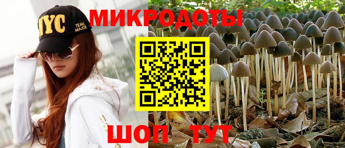 Галлюциногенные грибы ЛСД Отрадное