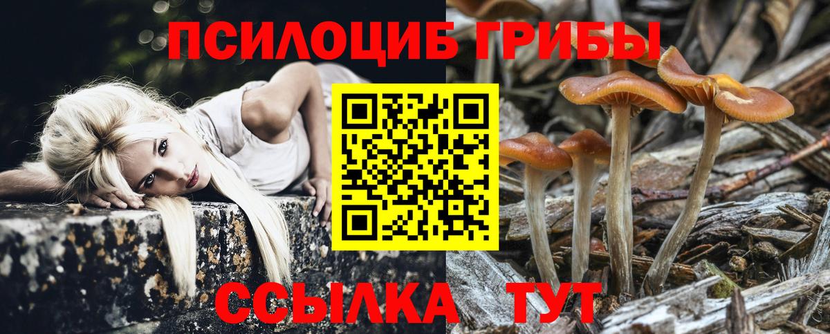Псилоцибиновые грибы Magic Shrooms  Вход с VPN  купить наркоту  Отрадное 